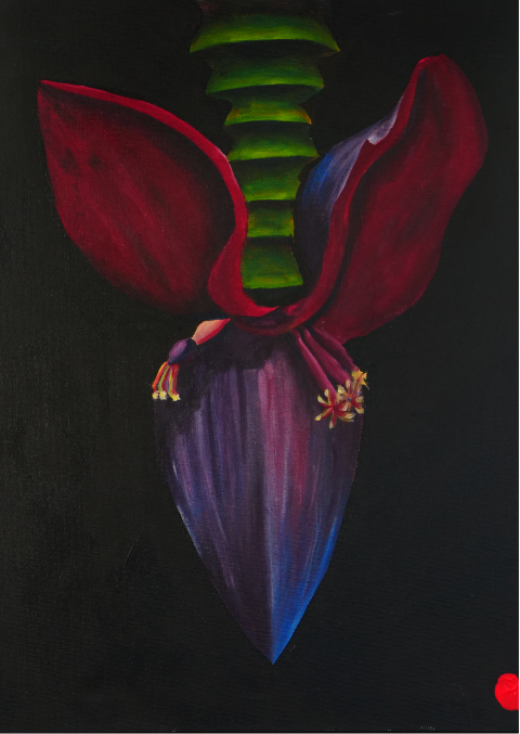 Banana Bloom – by Asia Te Kura Areora