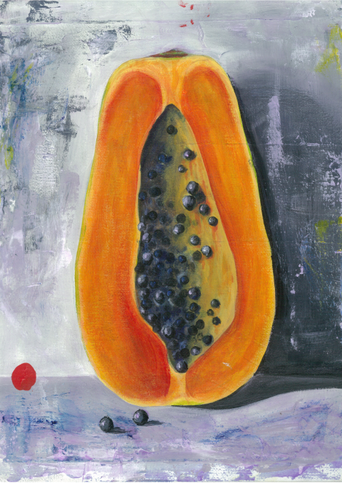 Homeless Pawpaw – by Asia Te Kura Areora